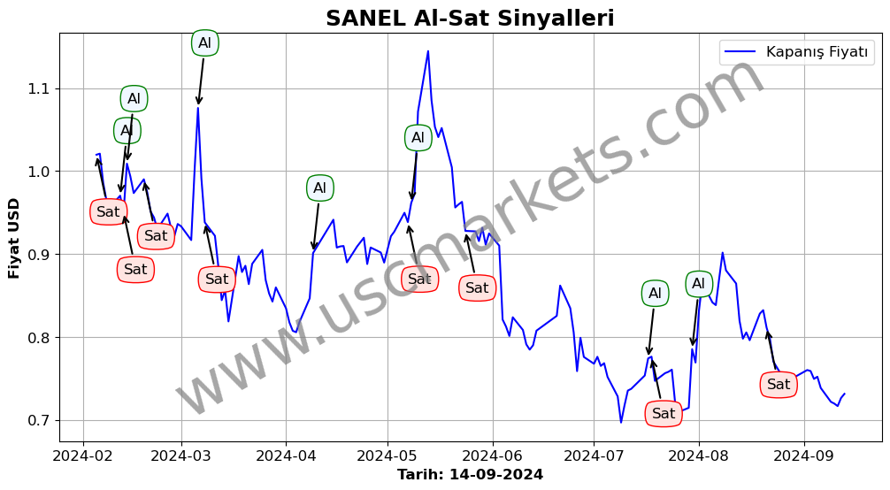 SANEL algoritma sinyalleri 2