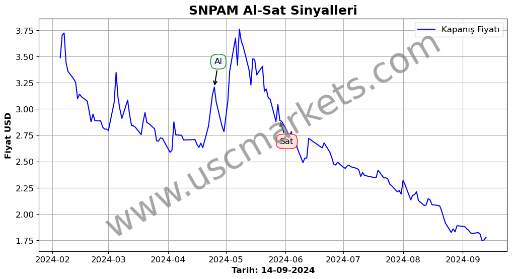 SNPAM algoritma sinyalleri 3