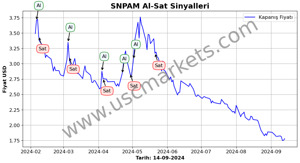 SNPAM algoritma sinyalleri 4