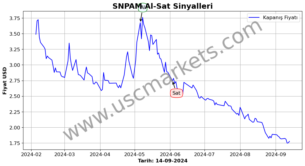 SNPAM algoritma sinyalleri 2