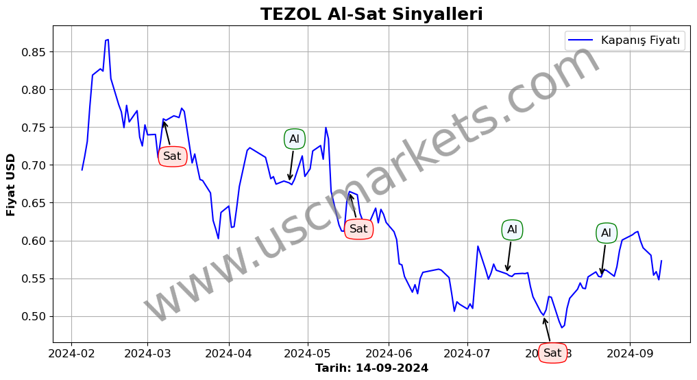 TEZOL algoritma sinyalleri 3