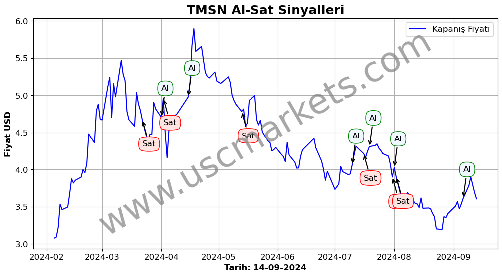 TMSN algoritma sinyalleri 2