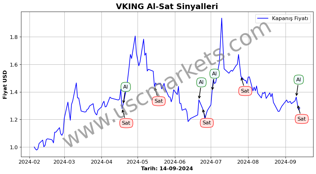 VKING algoritma sinyalleri 2