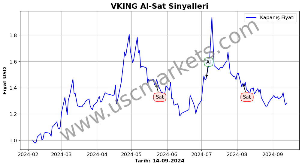 VKING algoritma sinyalleri 3