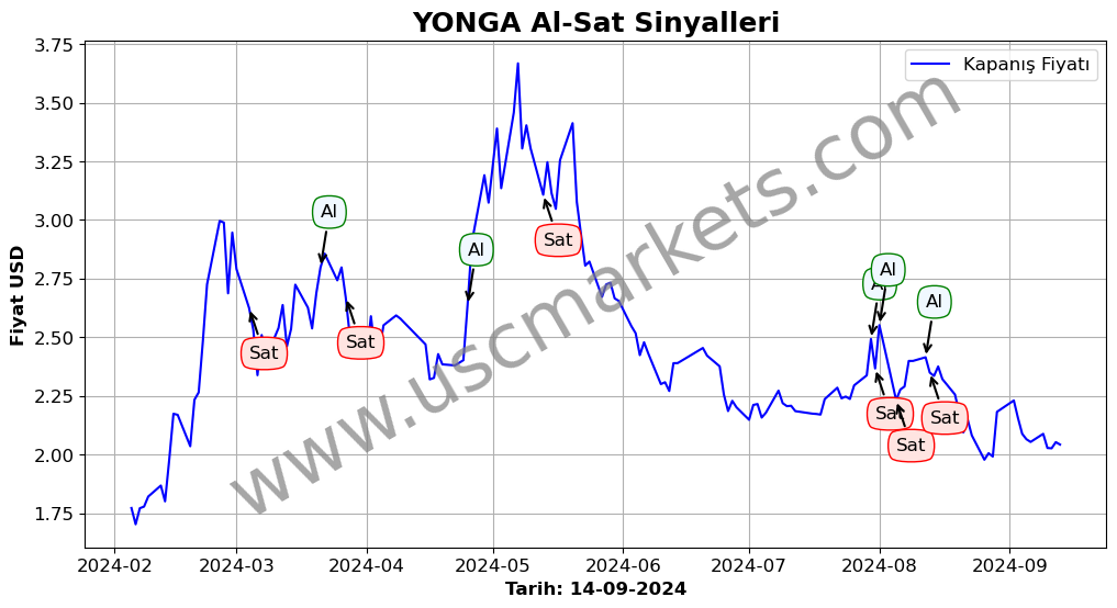 YONGA algoritma sinyalleri 4