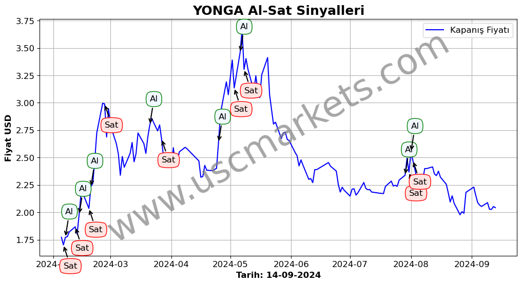 YONGA algoritma sinyalleri 1