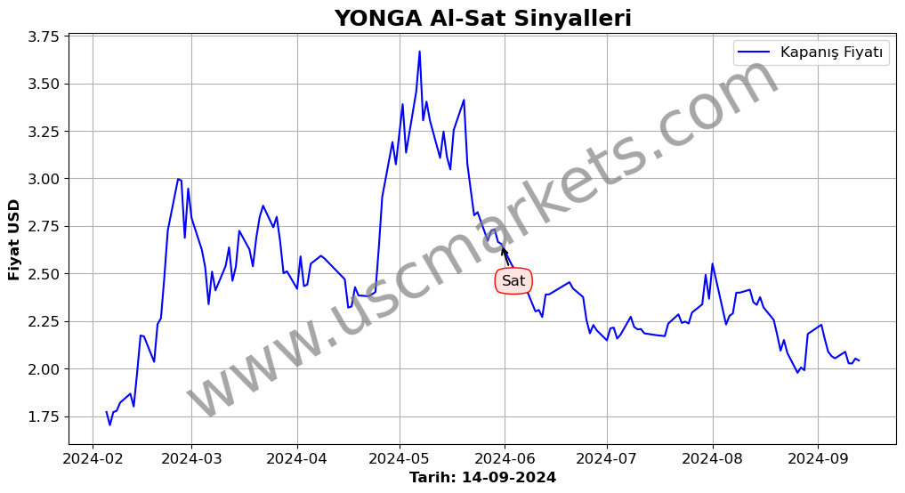 YONGA algoritma sinyalleri 2